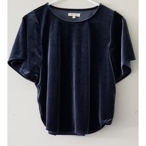 Madewell Velvet Butterfly Blue Top